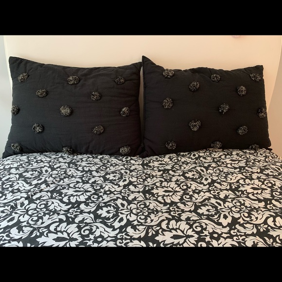 Pottery Barn Teen Crinkle Puff Shams - Picture 2 of 4